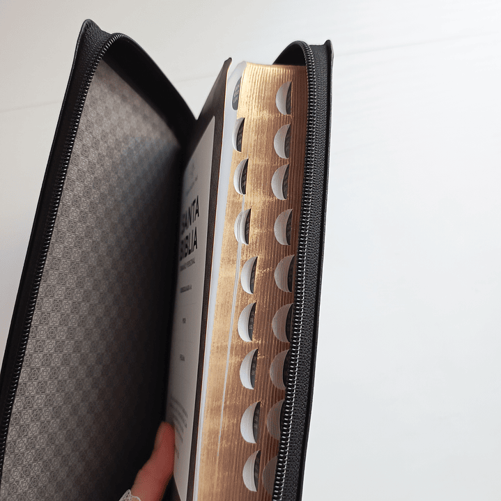 Biblia Letra Grande Negra Reina Valera 1960 2