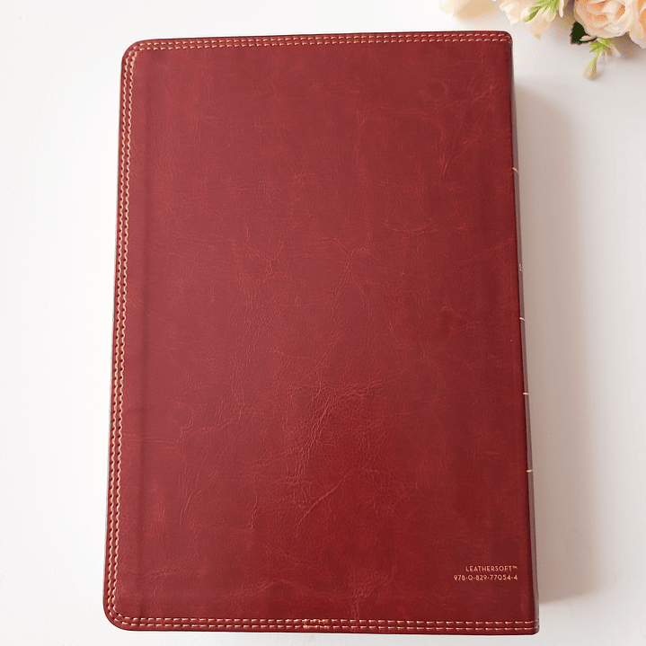 Biblia para apuntes Café Reina Valera 1960 7