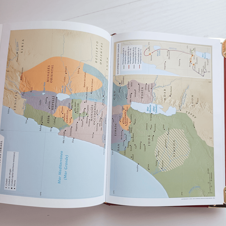 Biblia de Estudio Diario Vivir Reina Valera 1960  9