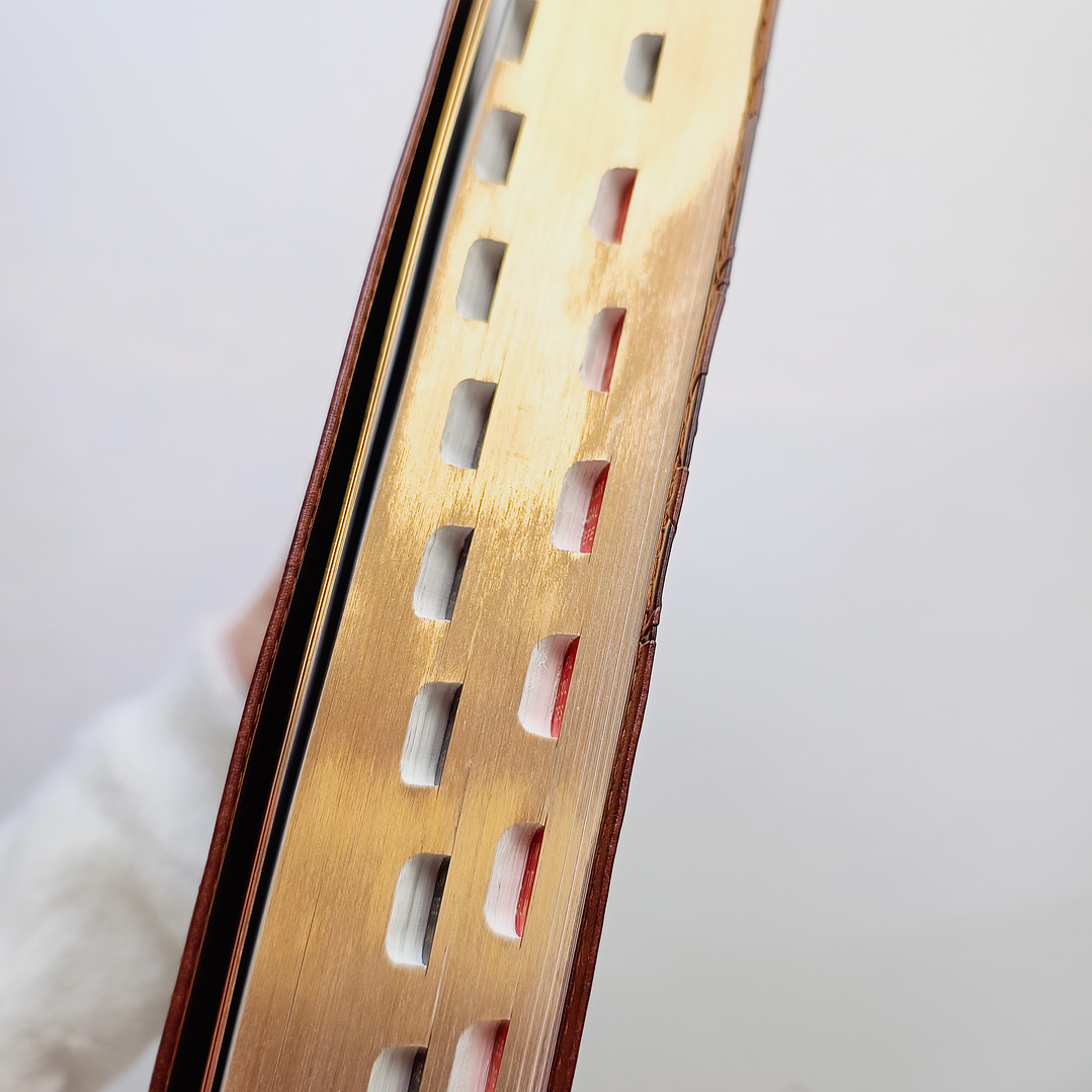 Biblia de Estudio para la mujer Reina Valera 1960 (con nombres de libros al costado) 2