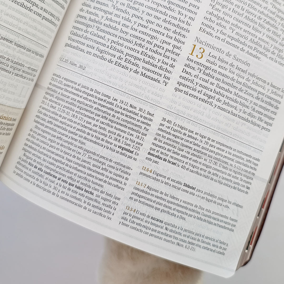 Biblia de Estudio para la mujer Reina Valera 1960 (con nombres de libros al costado) 7