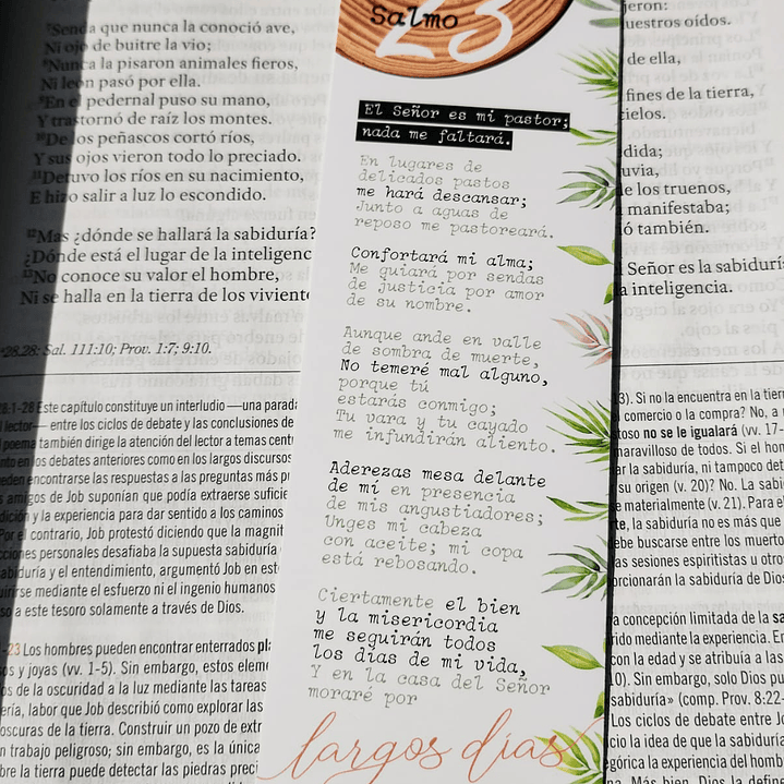 Marcapáginas de Papel - Varios diseños 7