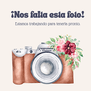 Biblia de Estudio Scofield Chocolate Reina Valera 1960