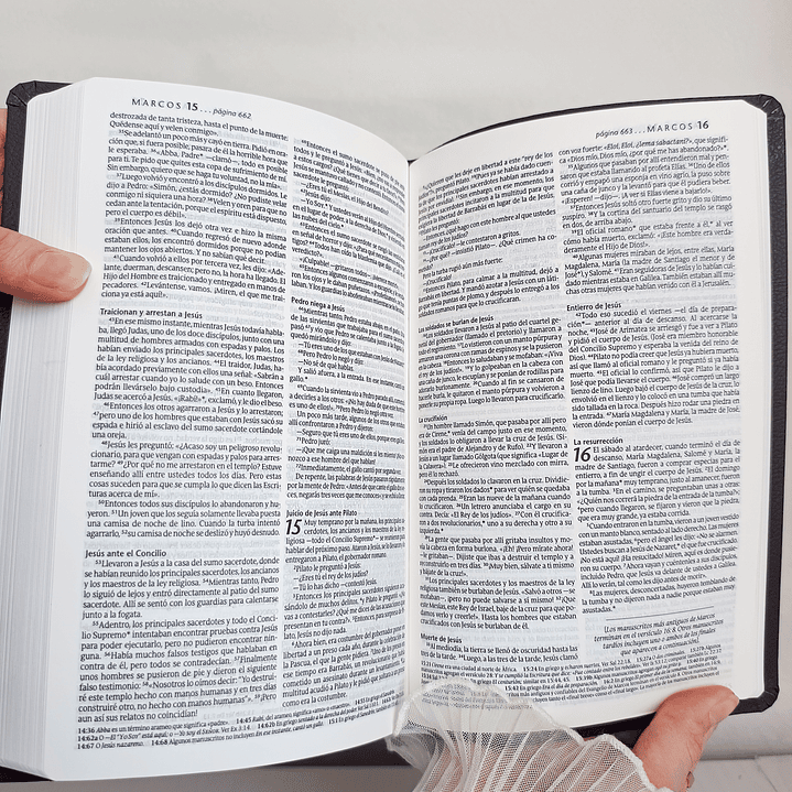 Biblia NTV Ultrafina Negro 5