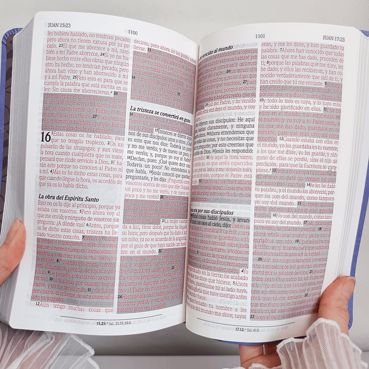 Biblia de promesas Menta RV1960 4