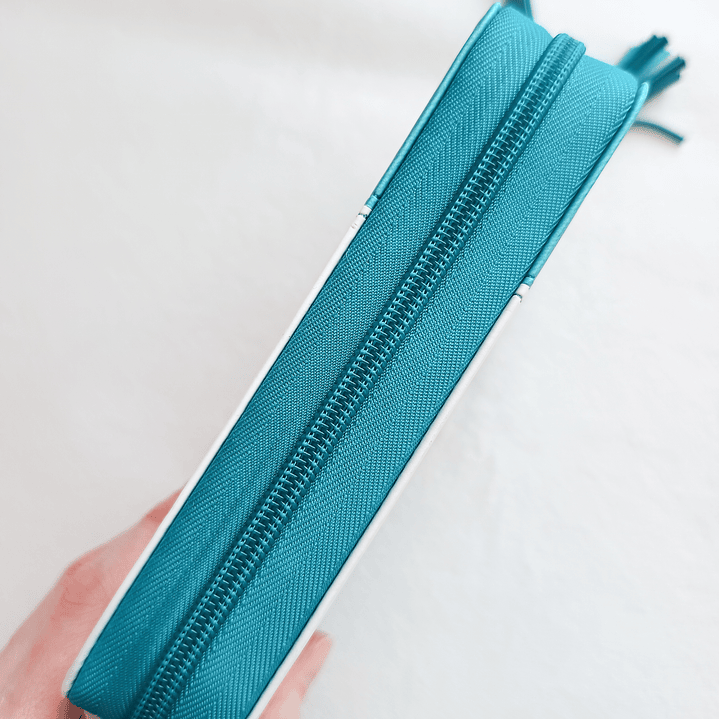 Biblia tipo chequera con índice Reina Valera 1960 4