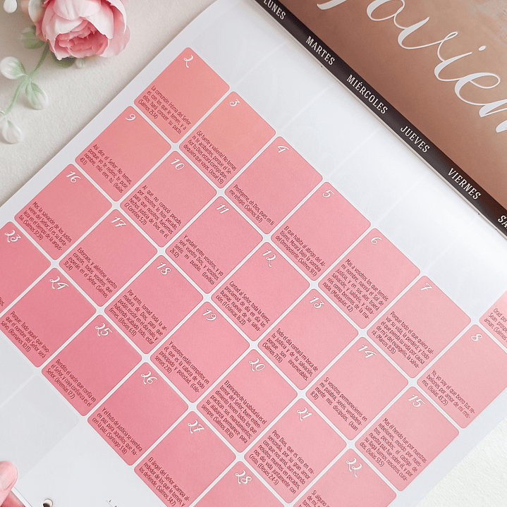 Calendario Mural 2026 – 4 Diseños Disponibles 8