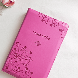 Biblia Letra Grande Fucsia Reina Valera 1960 (con índice)