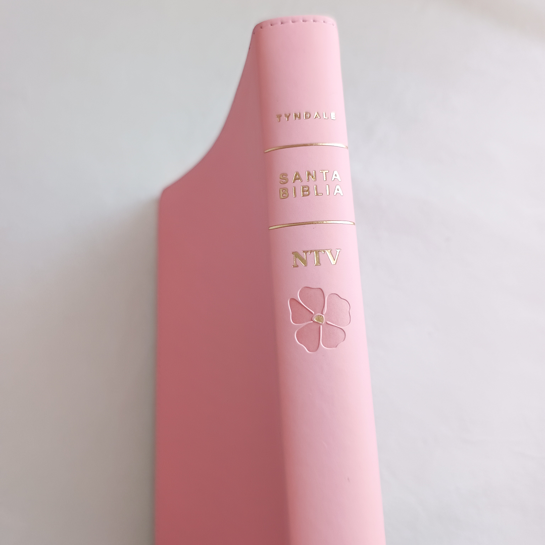 Biblia Rosa Letra Grande NTV 3