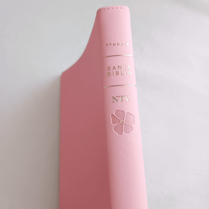 Biblia Rosa Letra Grande NTV 3