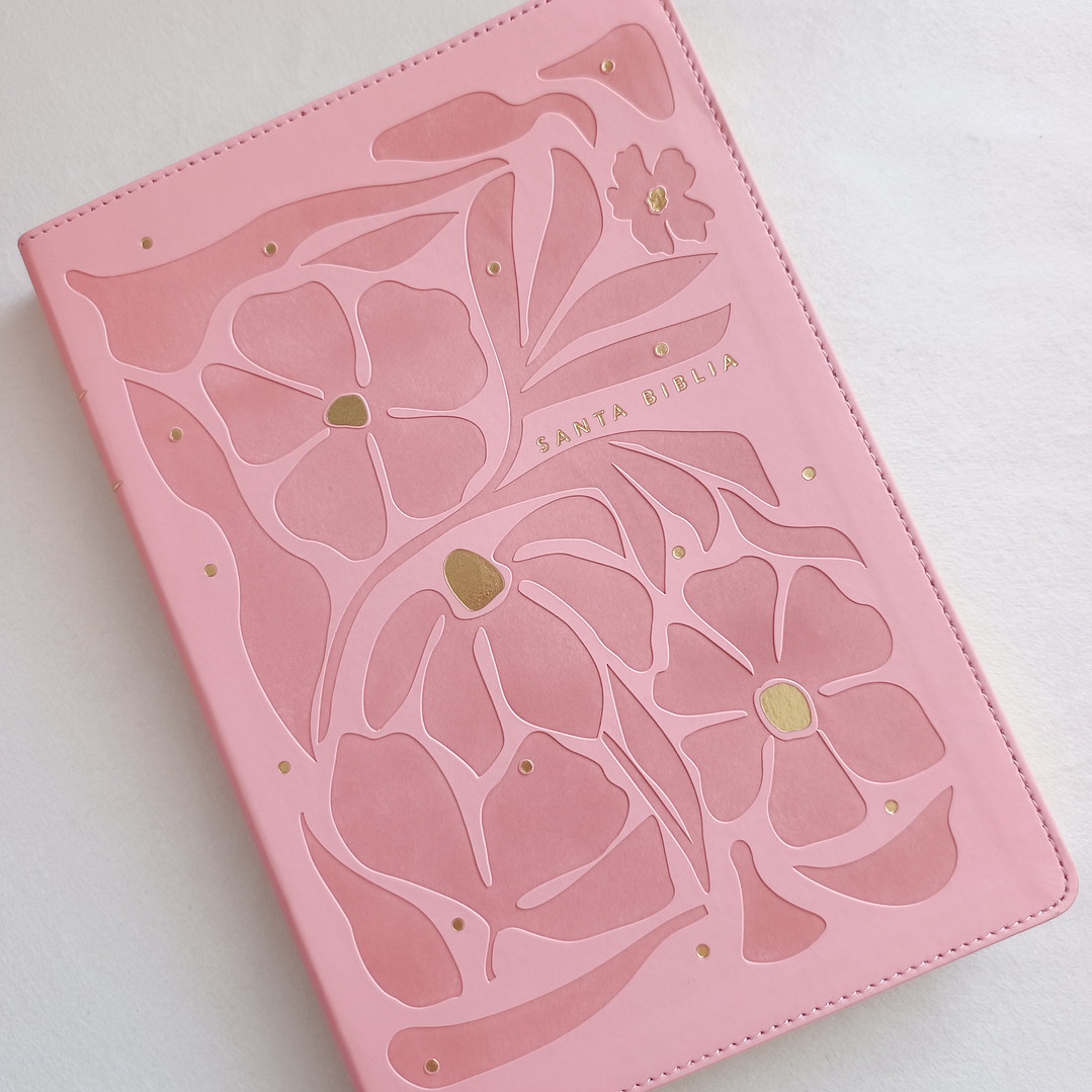 Biblia Rosa Letra Grande NTV 1