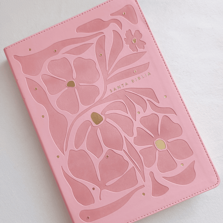Biblia Rosa Letra Grande NTV 1