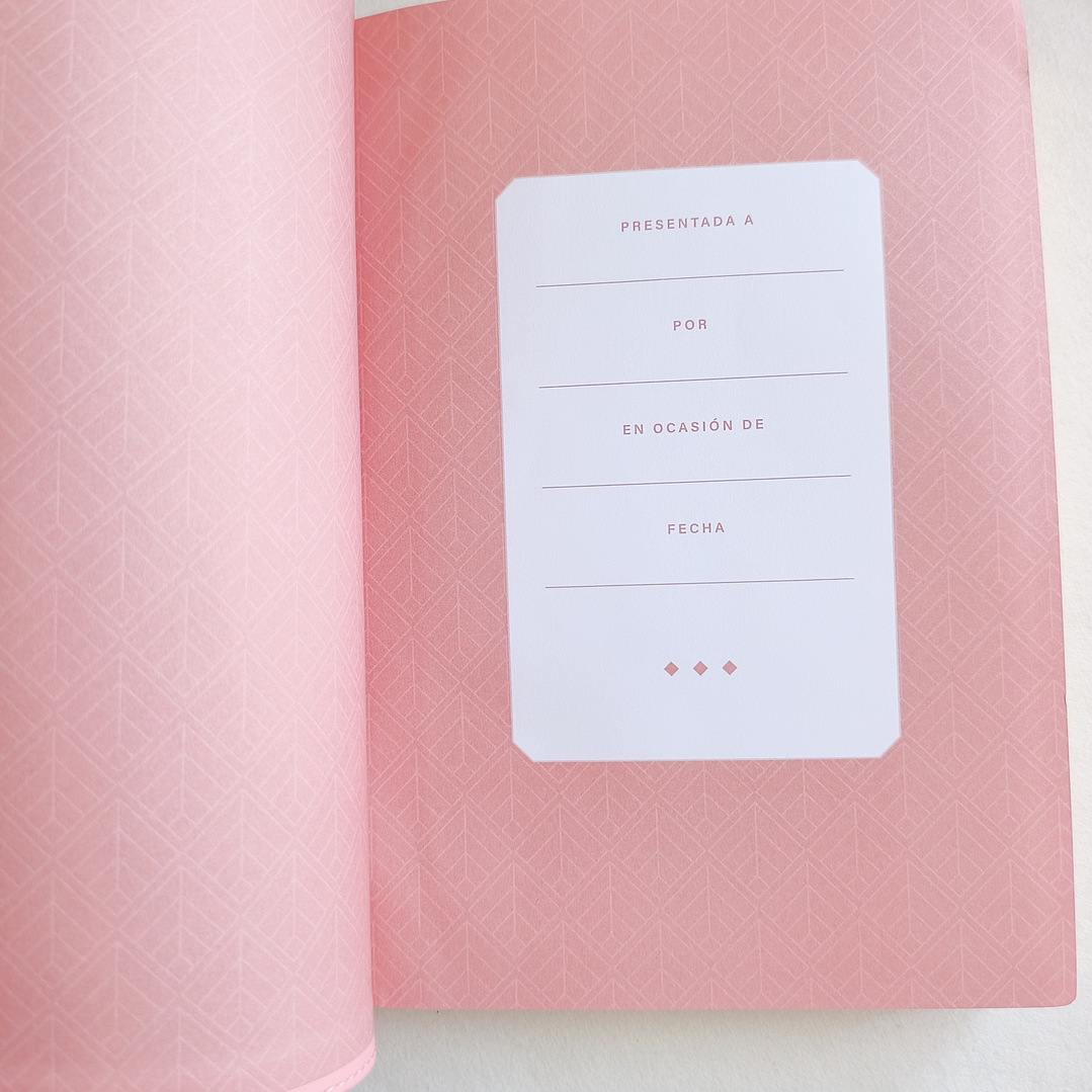 Biblia Rosa Letra Grande NTV 4