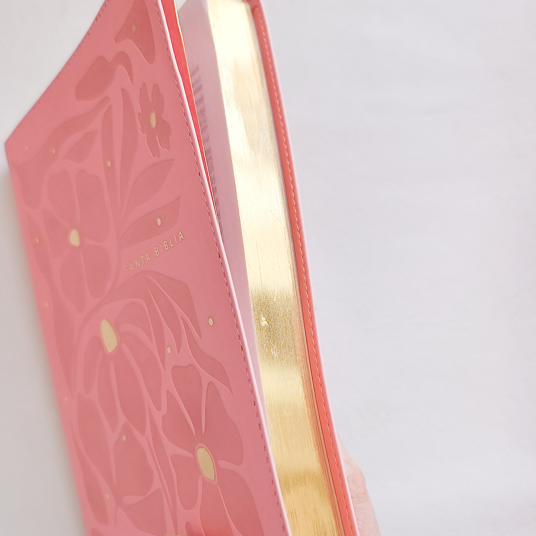 Biblia Rosa Letra Grande NTV 2