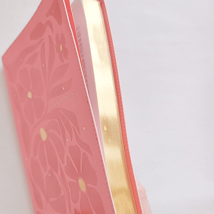 Biblia Rosa Letra Grande NTV 2