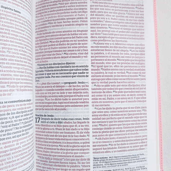 Biblia Rosa Letra Grande NTV 7