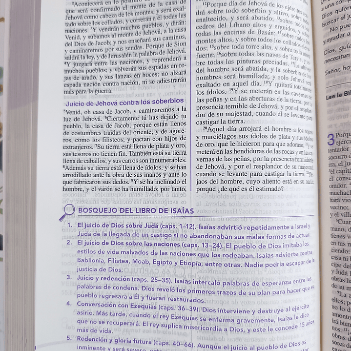 Biblia de la joven conforme al corazón de Dios RV 1960 4