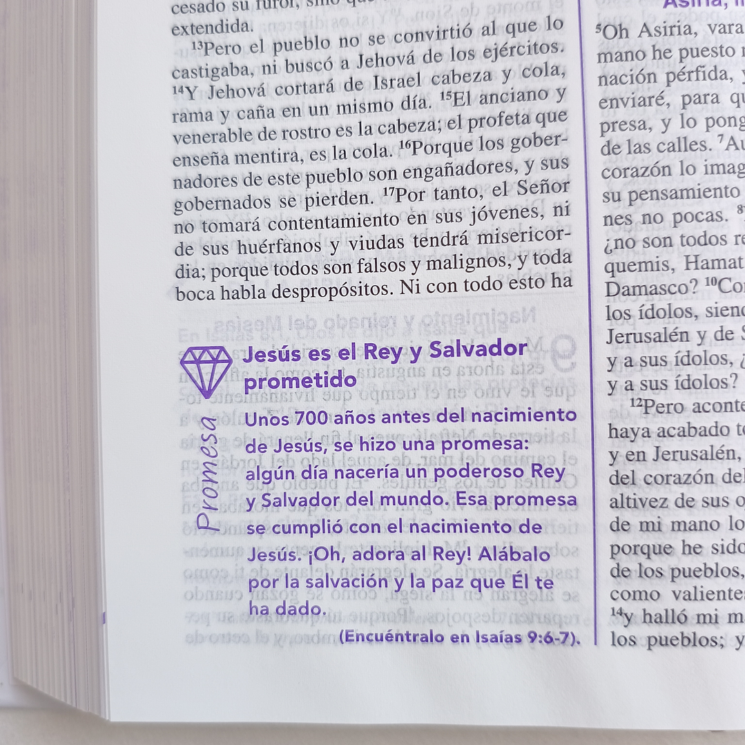 Biblia de la joven conforme al corazón de Dios RV 1960 5
