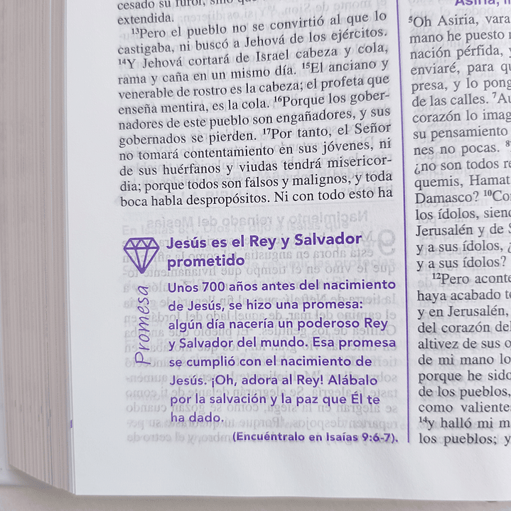 Biblia de la joven conforme al corazón de Dios RV 1960 5