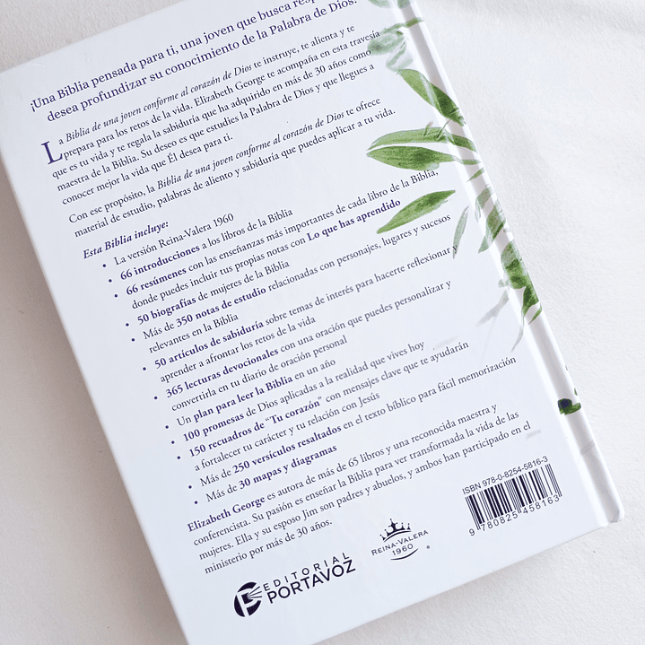 Biblia de la joven conforme al corazón de Dios RV 1960 3