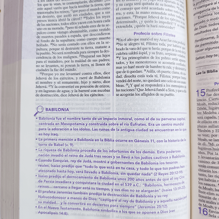 Biblia de la joven conforme al corazón de Dios RV 1960 6