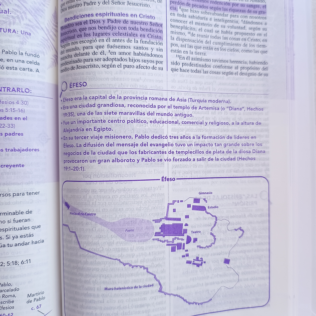 Biblia de la joven conforme al corazón de Dios RV 1960 7