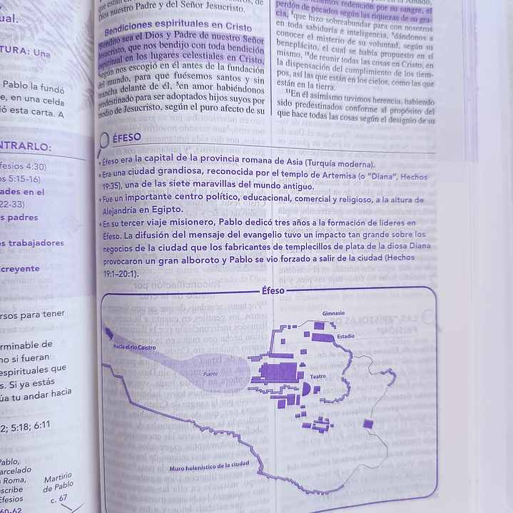 Biblia de la joven conforme al corazón de Dios RV 1960 7