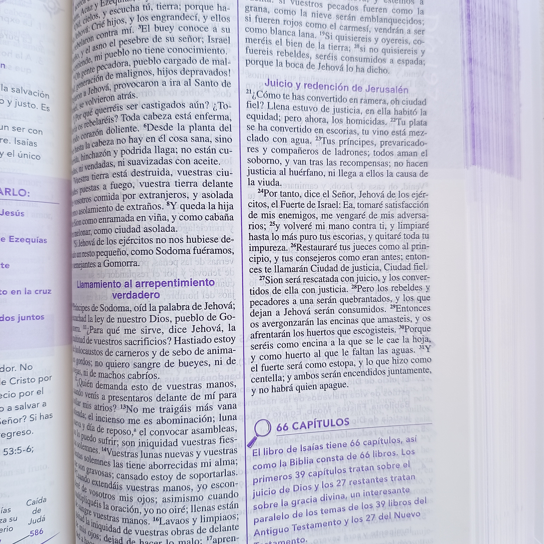 Biblia de la joven conforme al corazón de Dios RV 1960 9