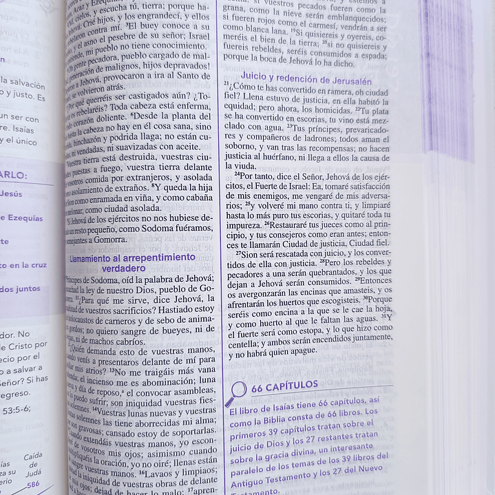 Biblia de la joven conforme al corazón de Dios RV 1960 9