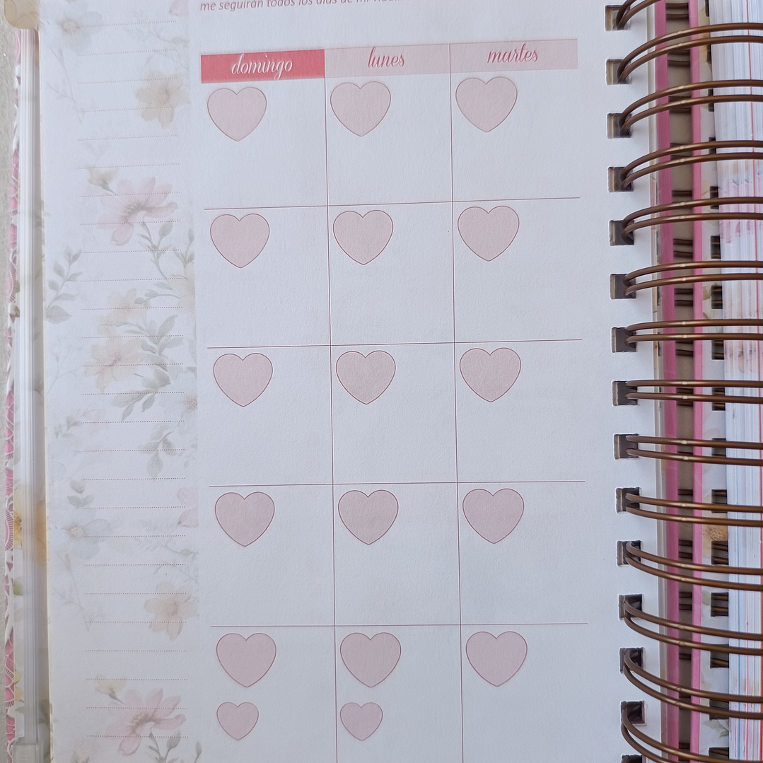 Devocional Planificador – Nuestro Pan Diario 8