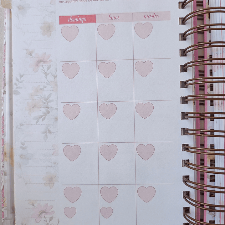 Devocional Planificador – Nuestro Pan Diario 8