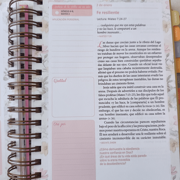 Devocional Planificador – Nuestro Pan Diario 17