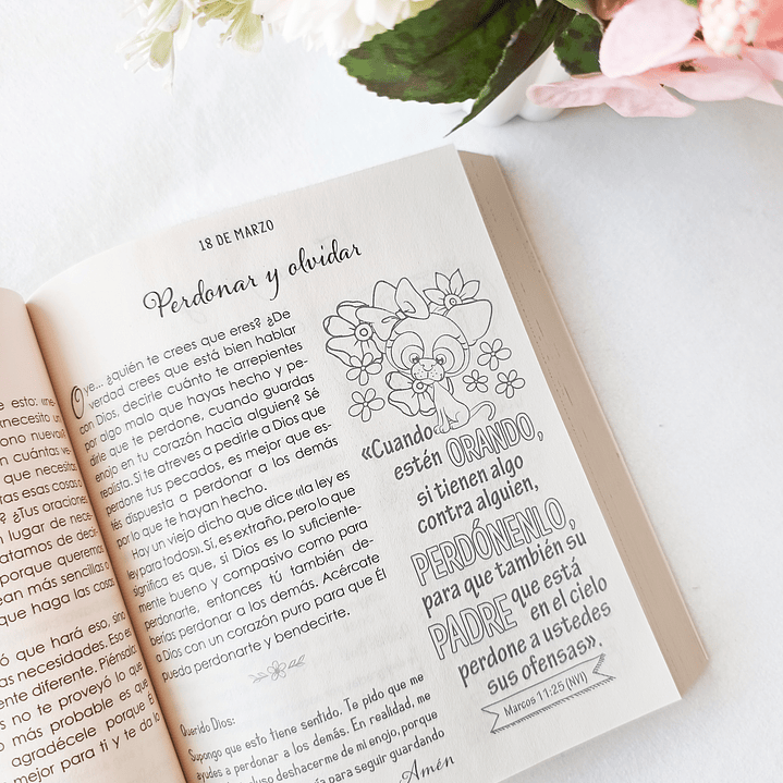 Devocional Ilustrado para Niñas – 366 días del arte de colorear y devociones plenas de fe 2