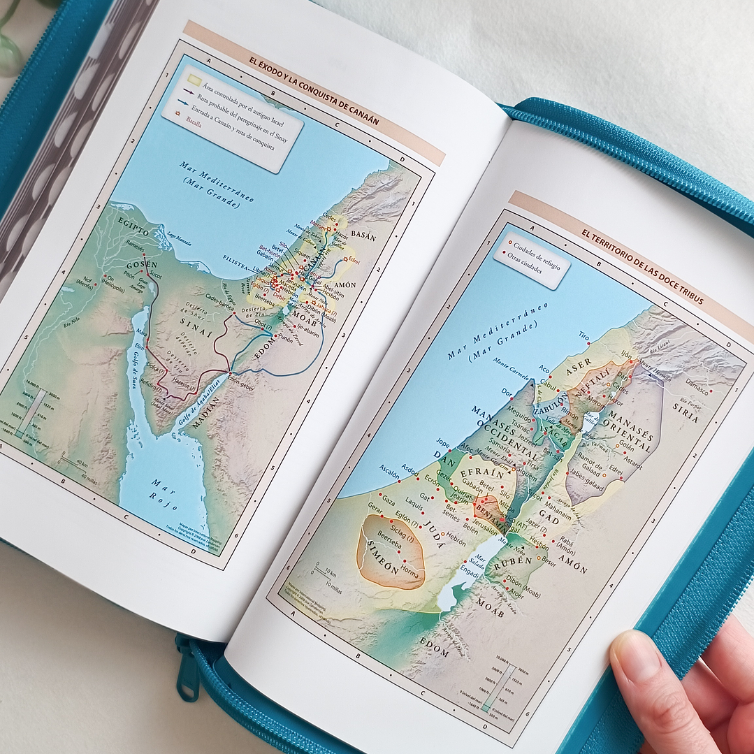 Biblia Letra Grande RV1960 (con índice) 3