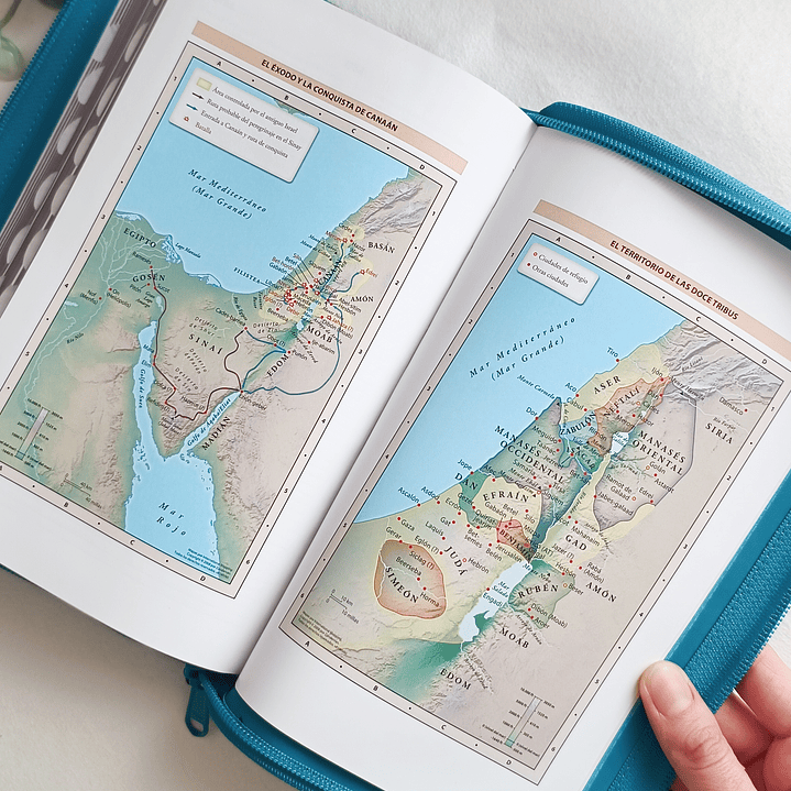 Biblia Letra Grande RV1960 (con índice) 3