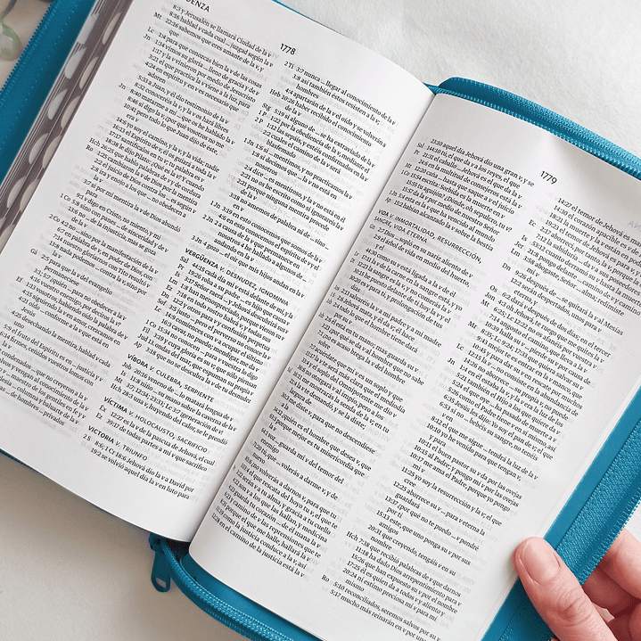 Biblia Letra Grande RV1960 (con índice) 4