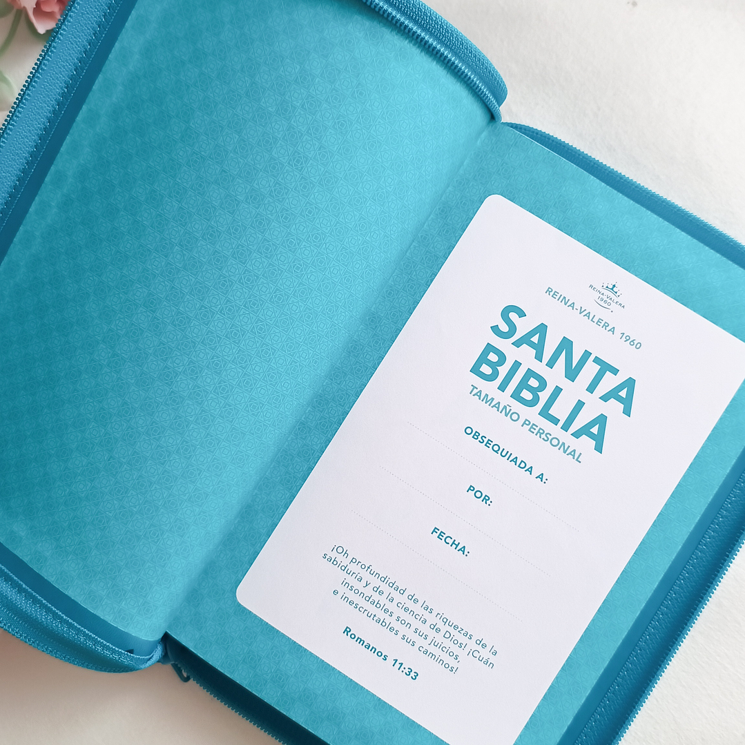 Biblia Letra Grande RV1960 (con índice) 6