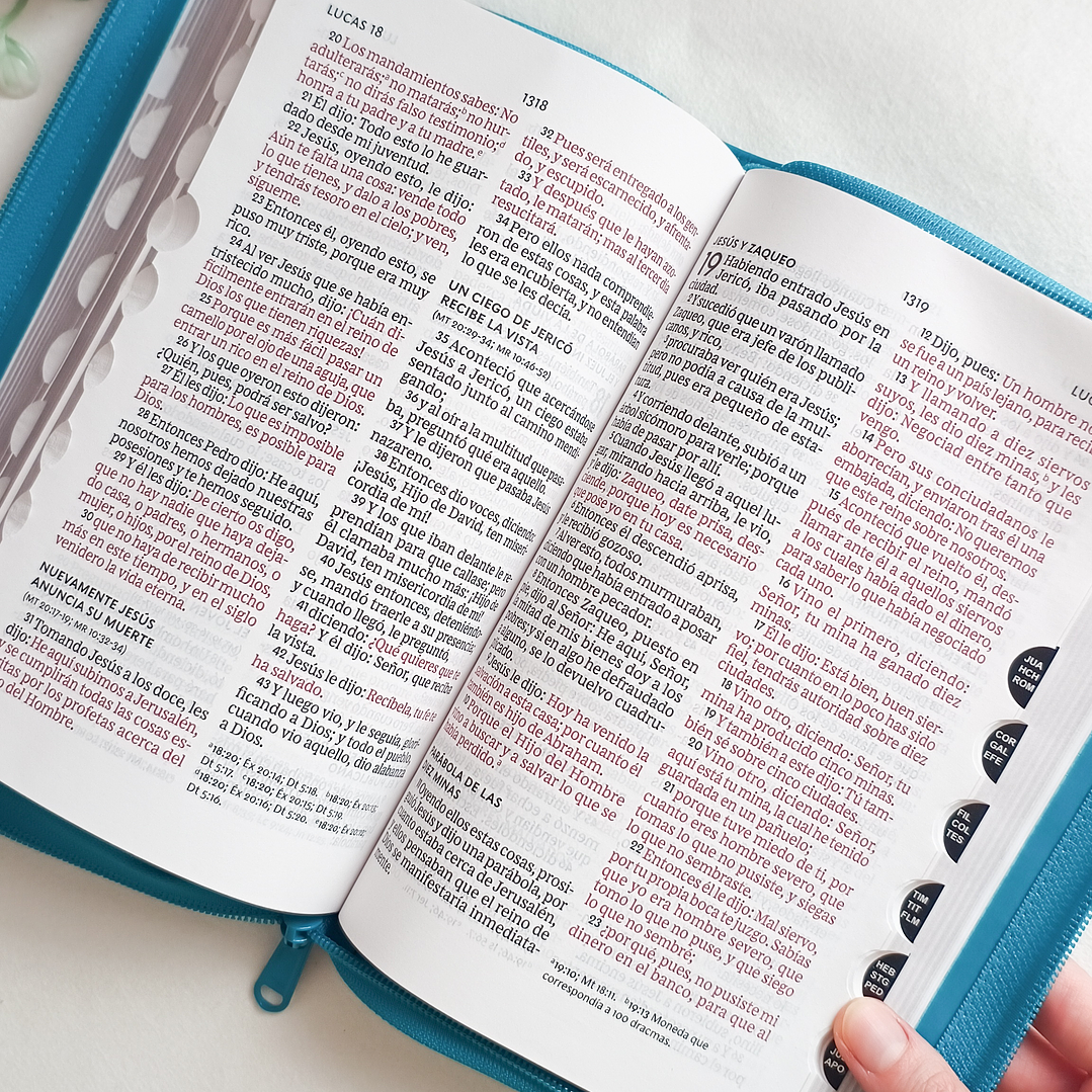 Biblia Letra Grande RV1960 (con índice) 8