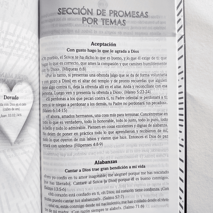 Biblia de Promesas para Niños NTV 4