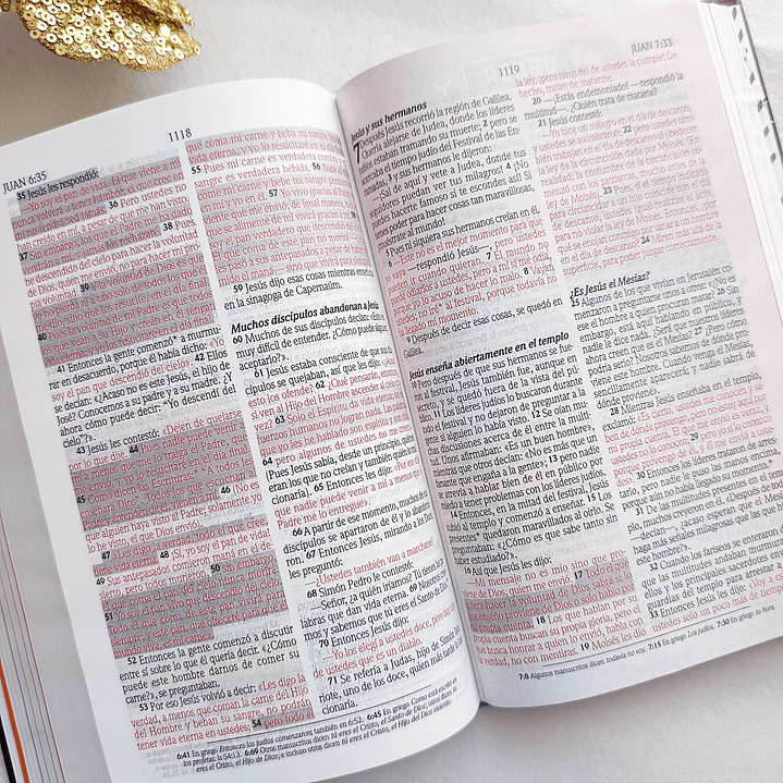 Biblia de Promesas para Niños NTV 10