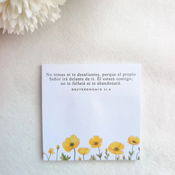 Notas Autoadhesivas con Versículos 11