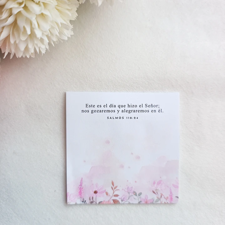 Notas Autoadhesivas con Versículos 14