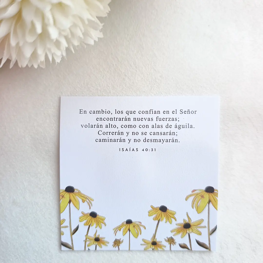 Notas Autoadhesivas con Versículos 13