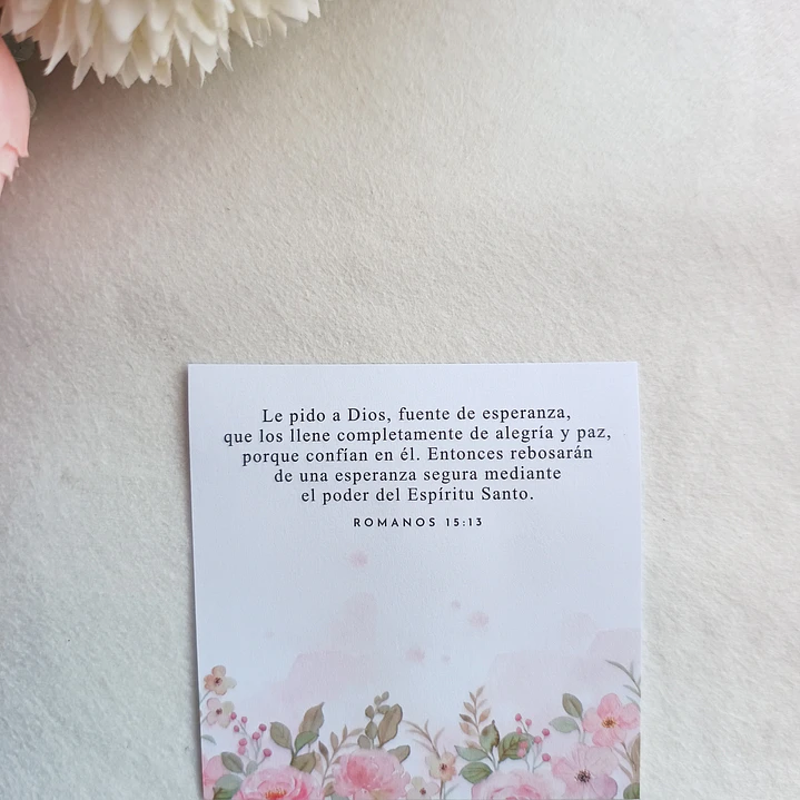 Notas Autoadhesivas con Versículos 16