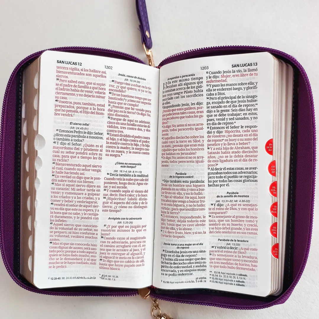 Biblia tipo chequera con índice Reina Valera 1960 27