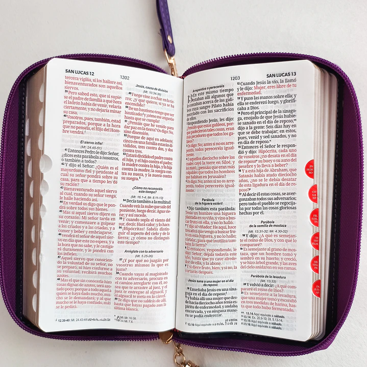 Biblia tipo chequera con índice Reina Valera 1960 27
