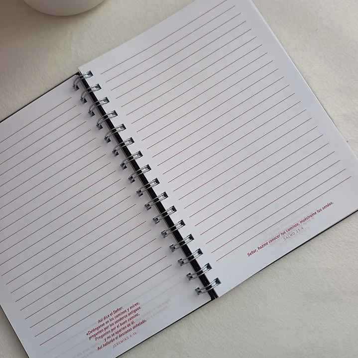 Pack Libreta + Lapicera (varios diseños) 15