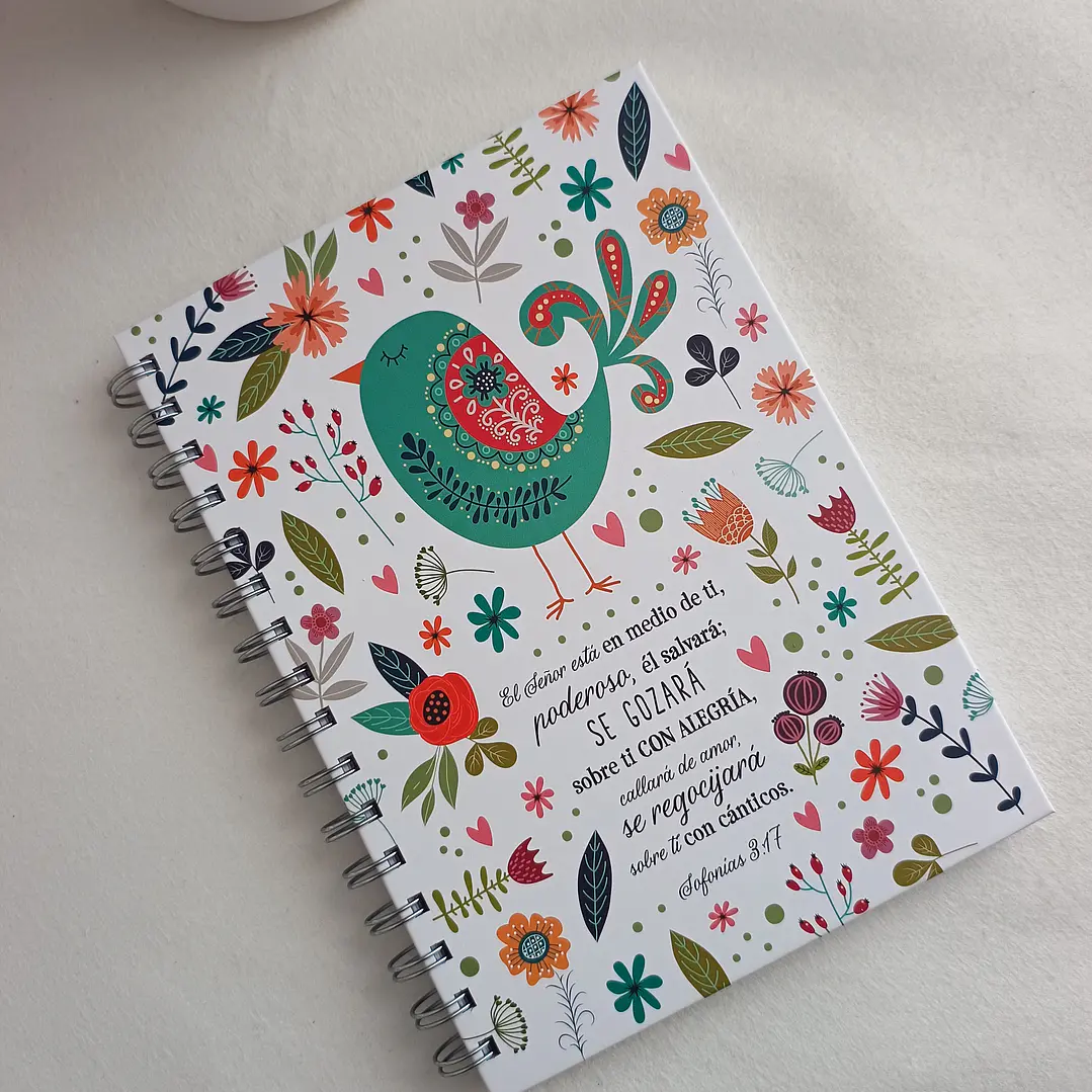 Pack Libreta + Lapicera (varios diseños) 18