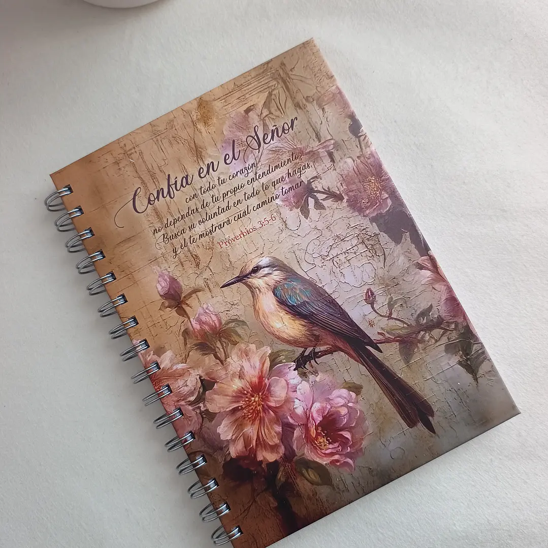 Pack Libreta + Lapicera (varios diseños) 23