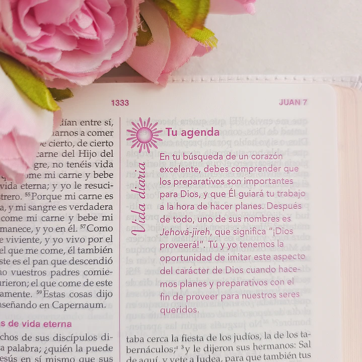 Biblia de la Mujer Conforme al Corazón de Dios – Reina Valera 1960, Tapa Imitación Piel 11